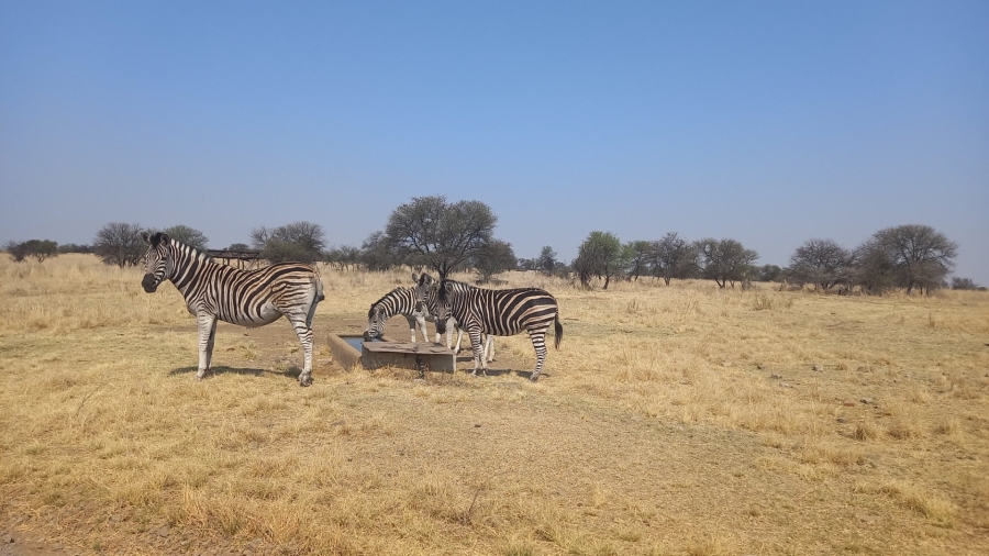 4 Bedroom Property for Sale in Boschenvaal River Front Lodges Free State